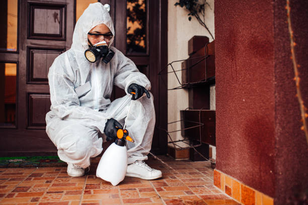 Reliable Ant Control contractor in Tennille, GA by Nex Pest Control