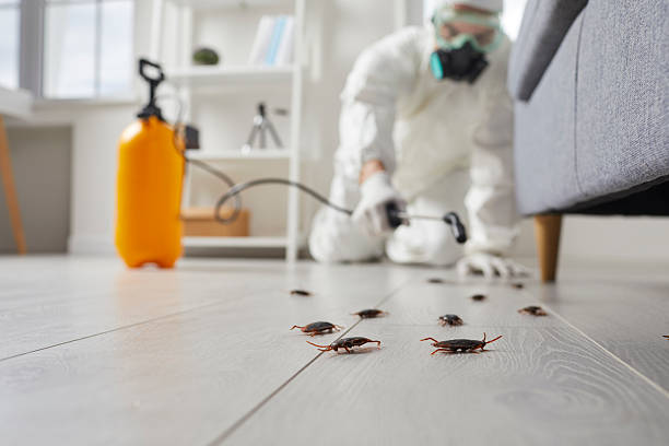 Trusted Termite Control service in Tennille, GA - Nex Pest Control