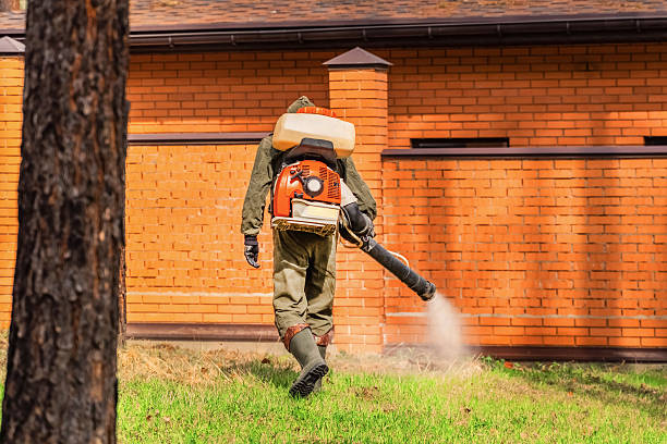 Trusted Rodent Control service in Tennille, GA - Nex Pest Control